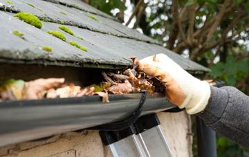 gutter cleaning Milton Of Campsie, East Dunbartonshire