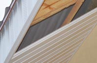 rated Milton Of Campsie soffit repair companies